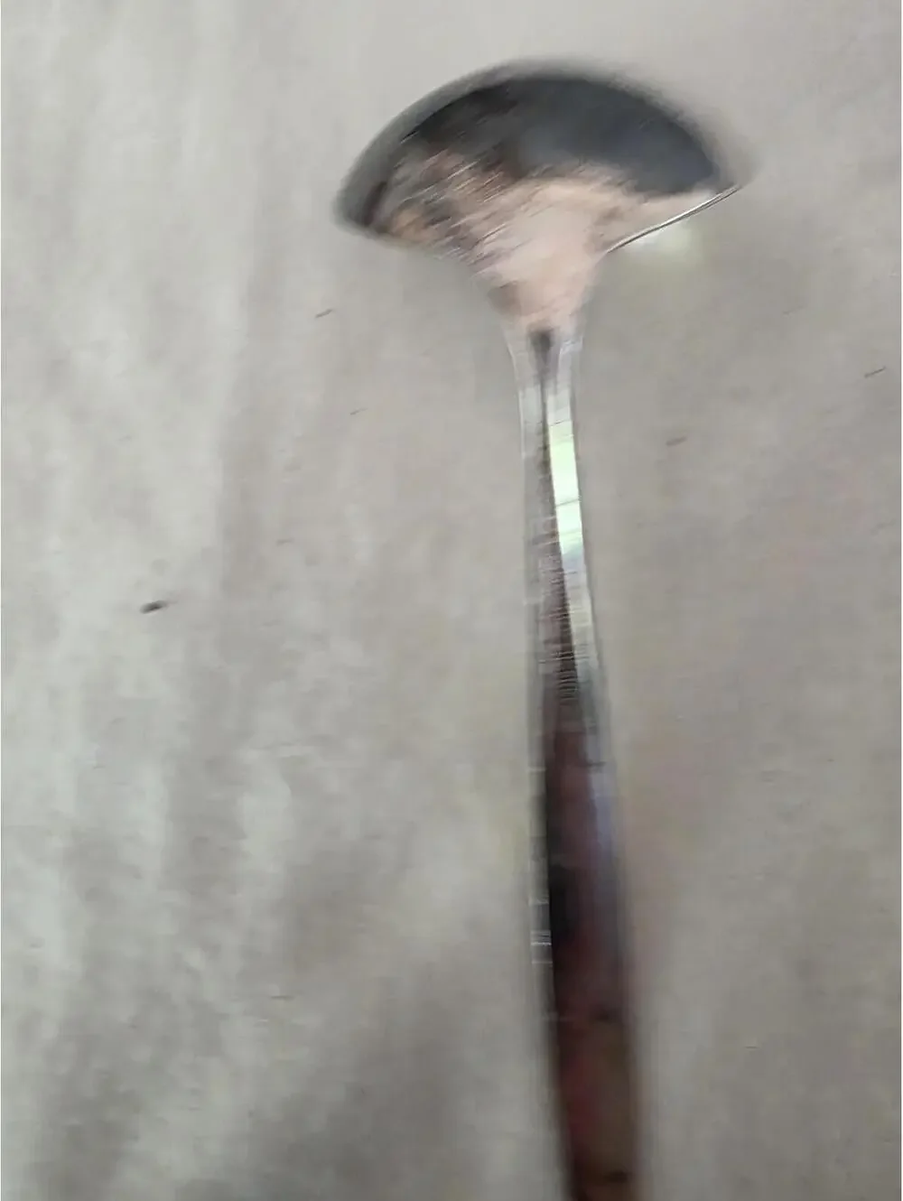 Oneida Gentle Rose Silverplate Gravy Ladle 7